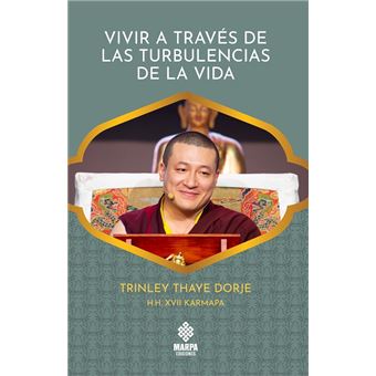 Vivir A Traves De Las Turbulencias De La Vida