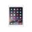 Apple iPad Air 2 16 GB WiFi Plata_0