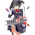 Akame Ga Kill! Zero 3