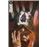 John Constantine Hellblazer 6