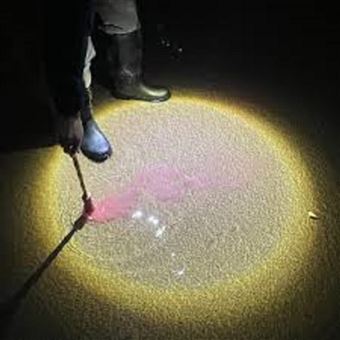 Lp-Escrito En Agua - Vinilo Rojo