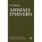 Animals d'hivern