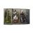 Elden Ring Nightreign Collector's Edition Xbox Series X/One