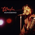 Lp-songbird
