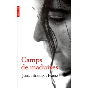 Camps de maduixes