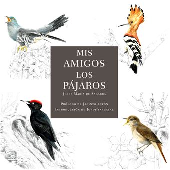 Mis Amigos Los Pajaros