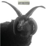 The Cult - 2 Vinilos blancos
