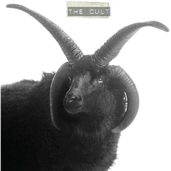 The Cult - 2 Vinilos blancos