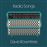 Radio Songs - Vinilo