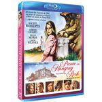 Picnic en Hanging Rock - Blu-ray