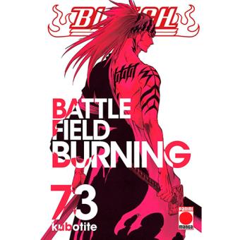 Bleach 73