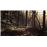 Blair Witch XBox One_4
