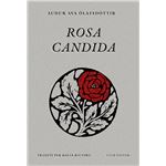 Rosa candida