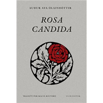 Rosa candida