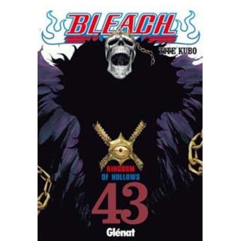 Bleach 43