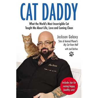 Cat Daddy - 1