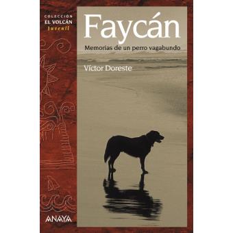 Faycán