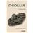 Chicxulub