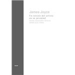 Un Retrato Del Artista En Su Juventud