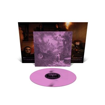 Ecstasies Of Never Ending Night - Vinilo