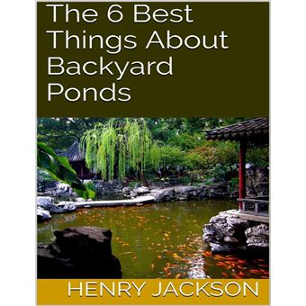 The 6 Best Things About Backyard Ponds - 1