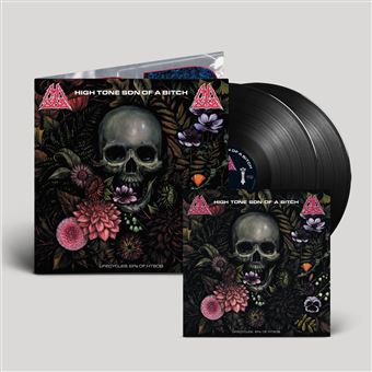 Lifecycles - 2 Vinilos