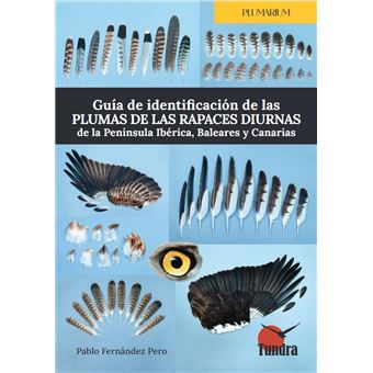 Guia De Identificacion De Las Plumas De Las Rapaces Diurnas