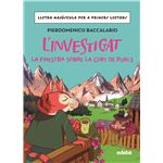 L´´Investigat: La Finestra Sobre La Cort De Porcs