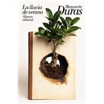La lluvia de verano