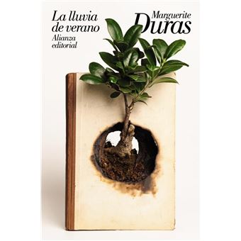 La lluvia de verano