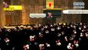 Super Mario 3D World Nintendo Selects Wii U_8