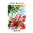 Closet Botanist - Vinilo