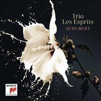 Schubert - Trio Les Esprits