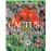 Cactus y otras suculentas plantas d