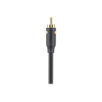 Belkin Cable Coax Digital Audio RCA M/M 1M