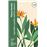 Aprendre A Parlar Amb Les Plantes