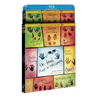 Un Final Made In Hollywood - Blu-ray + DVD