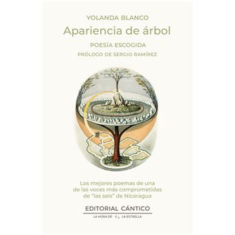 Apariencia De Arbol