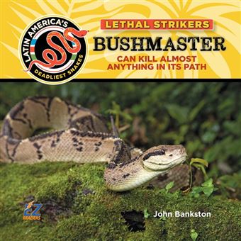 Bushmaster Snake: Can Kill Almost Anything In Its Path - 1