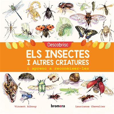 Descobrisc Els Insectes altres criatures aprenc libro reconèixerles vicent albouy catalão tapa dura