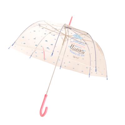 Paraguas grande Mr. Wonderful Camina con aunque llueva todo el día - -5% en libros | FNAC