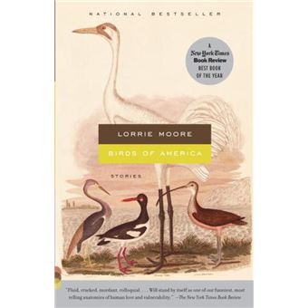 Birds of America - 1