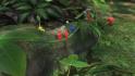 Pikmin 3 Selects Wii U_19