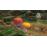 Pikmin 3 Selects Wii U_30