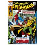El Asombroso Spiderman 18 1970