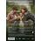Tierra Firme - DVD_1