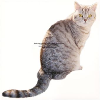 What I Am And What I M Not - Vinilo