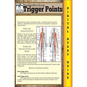 Trigger Points (Blokehead Easy Study Guide) - 1