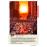 Lonely Planet: USA_4