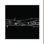 De Doorn - CD